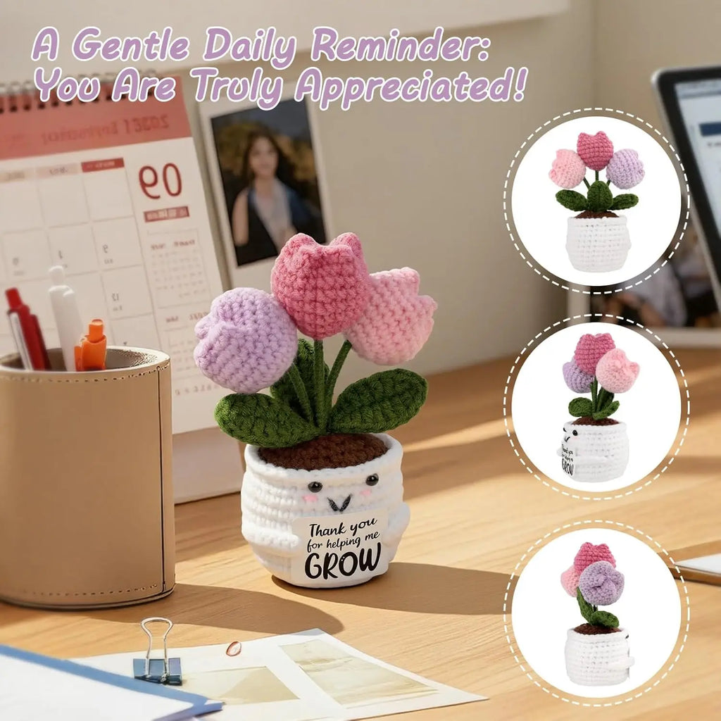 Mother's Day Gift Mini Tulip Gifts for Women Teacher Appreciation Gifts for Women Thank You Gifts for Mother Teachers Friends