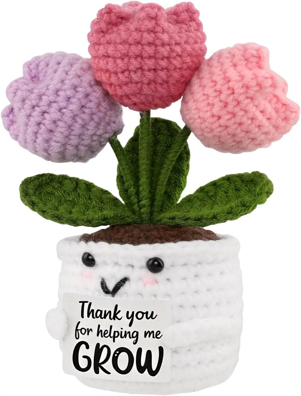 Mother's Day Gift Mini Tulip Gifts for Women Teacher Appreciation Gifts for Women Thank You Gifts for Mother Teachers Friends