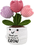 Mother's Day Gift Mini Tulip Gifts for Women Teacher Appreciation Gifts for Women Thank You Gifts for Mother Teachers Friends